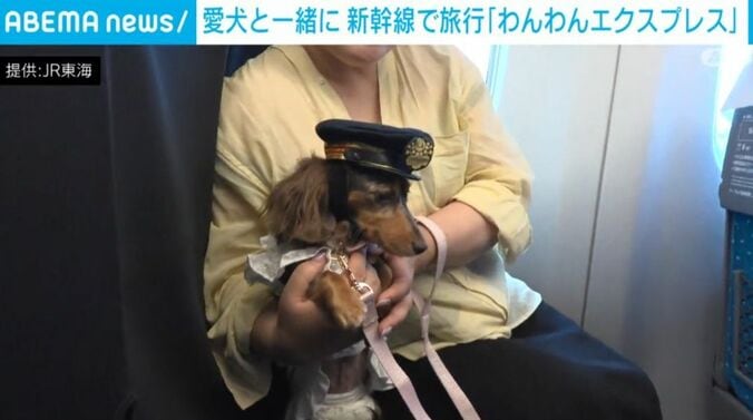 「わんわんエクスプレス」