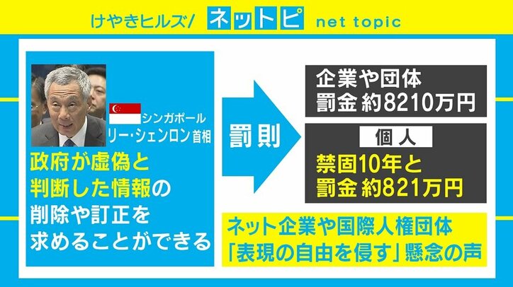 世界で相次ぐ“フェイクニュース規制” 政府の「フェイク」判断には疑問符も