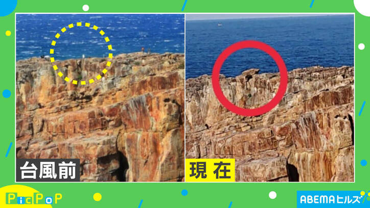 台風後、突如現れた“巨石”! 担当者「空からきたという人も…」名前は募集中