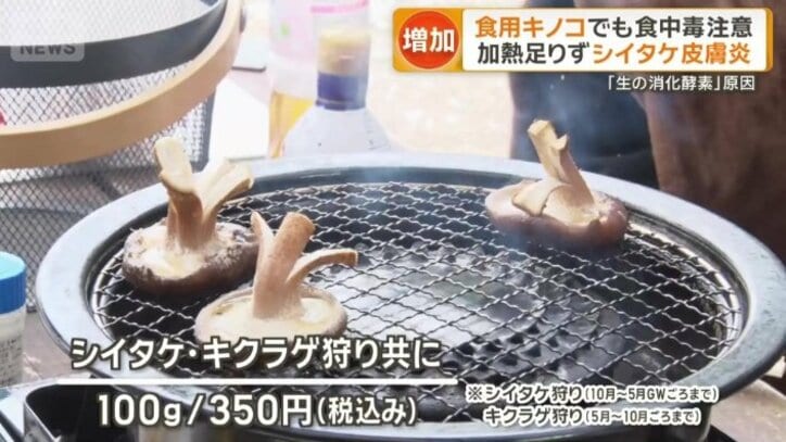 その場で焼いて食べるキノコバーベキュー