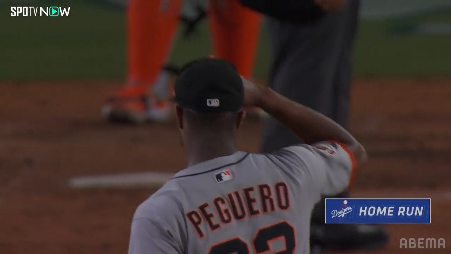 【写真・画像】　2枚目