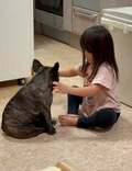 北斗晶「私の癒し」2歳の孫・寿々ちゃんと愛犬の微笑ましい様子をつづる 「思わず可愛すぎて笑ってしまいました」などの声
