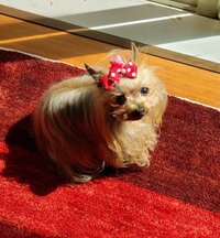 モト冬樹『後悔ばかり』