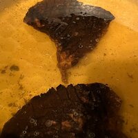 だいたひかる『大失敗』