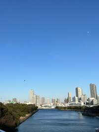 松居直美『オラフとコレステロール』