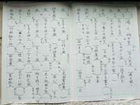 佐藤友美『この子も強化中！』