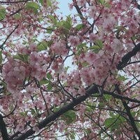 虻川 美穂子『息子とドンチゲタ』