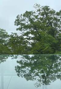 假屋崎省吾『軽井沢の別荘の㊙️絶景スポットは‼️』