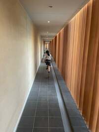 市川團十郎白猿『買い物へ』