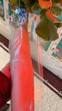 細川直美『無人販売機で』