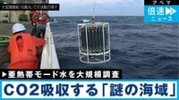 CO2を吸収する謎の海域 「亜熱帯モード水」とは？