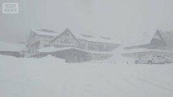 今季最強寒気で11月にドカ雪　青森・酸ケ湯は積雪1m超　北海道でホワイトアウト状態も