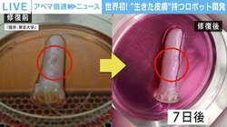 “アンドロイド”も作れる？ 世界初「生きた皮膚」を持つロボットの可能性