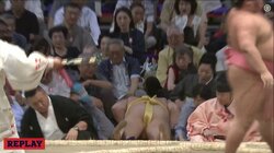 好調・遠藤、手痛い初黒星…千代大龍のいなしに土俵下へダイブ