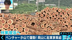 過疎の村にベンチャー起業が山に集結、IoTで木の管理も…日本の林業はオワコンじゃない！