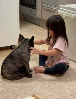 北斗晶「私の癒し」2歳の孫・寿々ちゃんと愛犬の微笑ましい様子をつづる 「思わず可愛すぎて笑ってしまいました」などの声