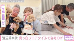 渡辺美奈代、夫婦で自宅の廊下を真っ白にDIY 「ホントに器用」「職人さん!?ってぐらいキレイ」と反響