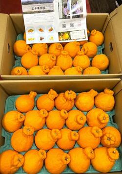  藤あや子、島津亜矢と石原詢子から届いた品を公開「沢山」「良かったですね」の声 