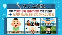 「ヒトのクローンを作る理由はどこにもない」、中国で体細胞による初の“クローンサル”誕生
