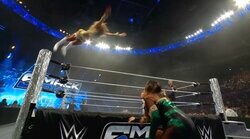 失敗した？ 美女レスラーが“大ジャンプ”フィニッシュ技→距離足らずまさかの事態に…ファン困惑「危ない落ち方」「頭打った」