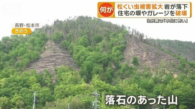 岩が落ちてきた住宅の裏手にある山
