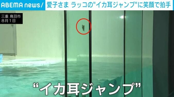 ラッコ