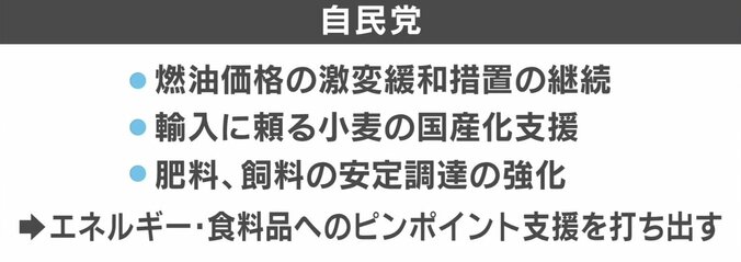 “物価高騰”いつまで？「消費税撤廃」で足並み揃う野党…参院選、各党の経済対策まとめ 3枚目