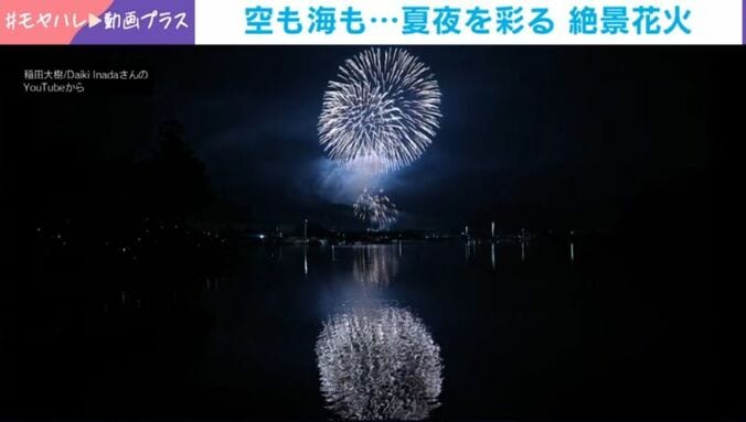 稲田大樹さんのYoutubeより