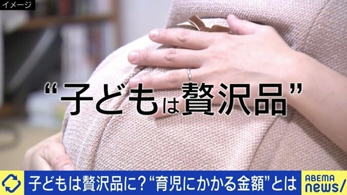 子どもは“贅沢品”になったのか？「産めば意外とどうにかなる」は今や昔「慎重になって当然」の声も   1枚目