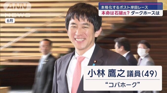 “コバホーク”こと小林鷹之議員