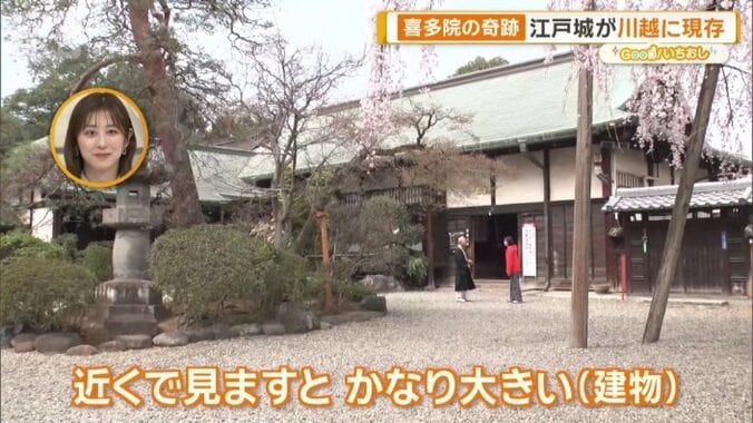 江戸城から移築の御殿