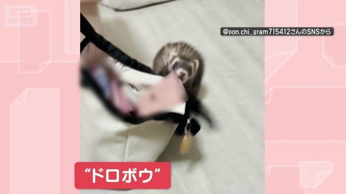 別の日も財布をドロボウ