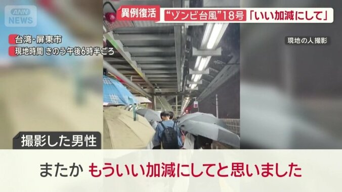 「もういい加減にして」