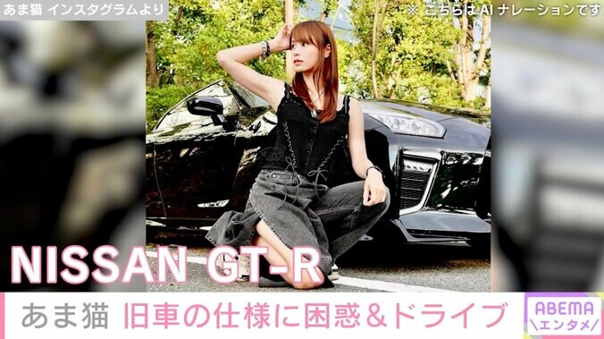 “複数の高級車所有” あま猫、1990年式ホンダNSX NA1の仕様に困惑&首都高ドライブ「物理キーはめっちゃ懐かしい」「おじさん世代にはたまらない」と反響 3枚目