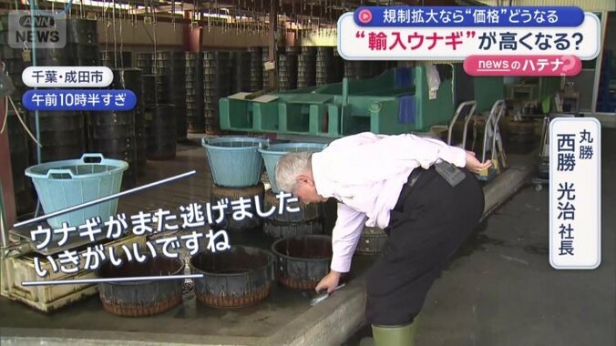 インタビュー中に逃げ出すほどいきがいいウナギ