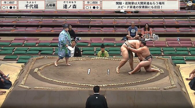 突然、崩れ落ちる力士