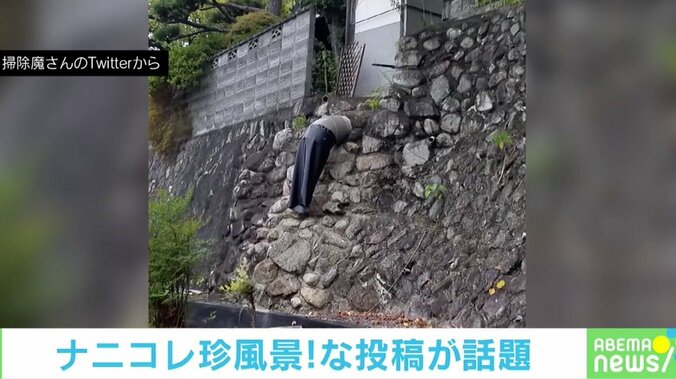 「排水溝におっさんが！」散歩中に見つけた“まさかの光景”に「完全にホラー」の声 1枚目