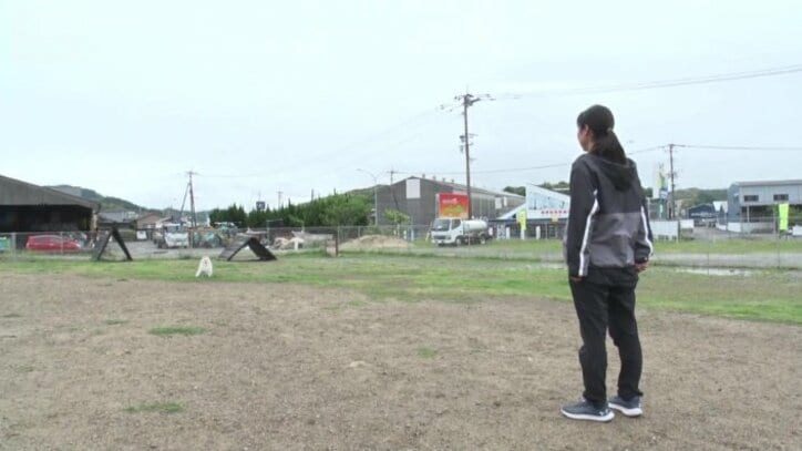 「服従」の訓練