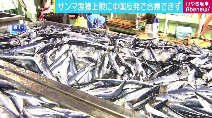 サンマの漁獲量上限案　中国などの強い反発で合意できず