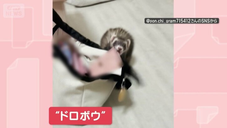 別の日も財布をドロボウ