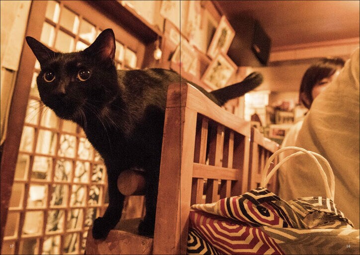 猫と酔える店で 緩んでみませんか 猫呑み できる名店を紹介した 猫と呑み助 東京 猫呑み のススメ 発売 その他 Abema Times