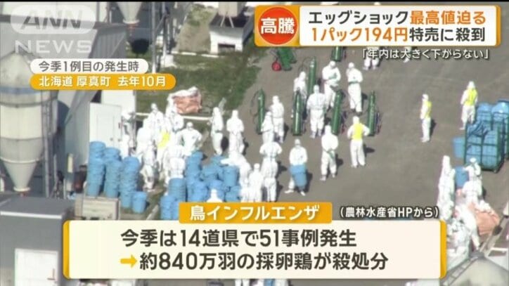 採卵用のニワトリおよそ840万羽が殺処分された