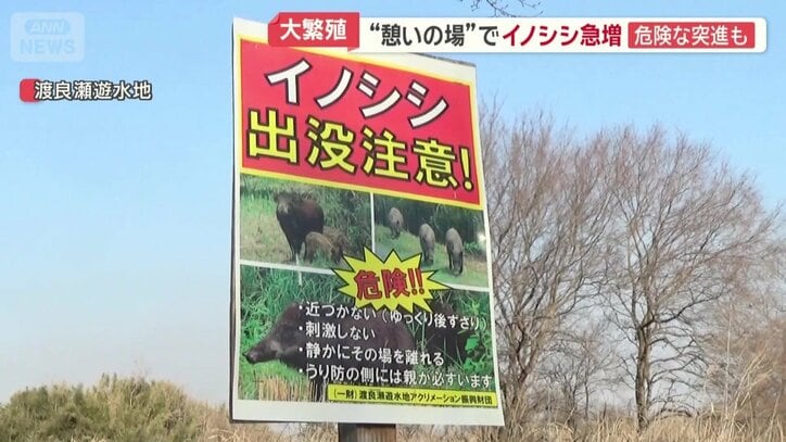 至る所に「イノシシ出没注意！」という看板