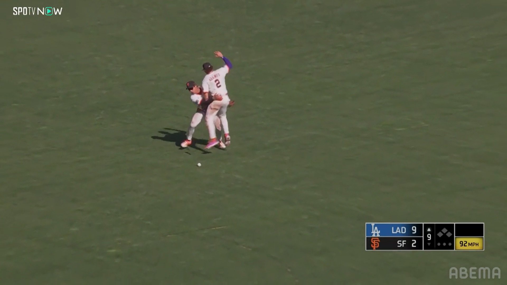 【写真・画像】　2枚目