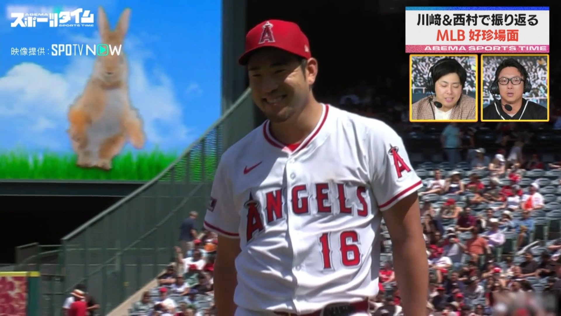 【写真・画像】　2枚目