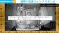 心配で監視カメラを見たら…狂ったように暴れているモモンガ 圧巻の高速ジャンプが話題に