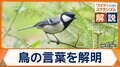 鳥の言葉を解明「集まれ」「ヘビだ」の鳴き声とは？　だまして餌を得る例も…　世界が注目する動物言語学者の研究