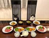 藤あや子『昨日のごはん』