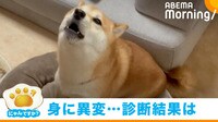 ピアノを弾いた時だけ“歌う”ように