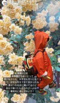 平野ノラ『登園12日目』